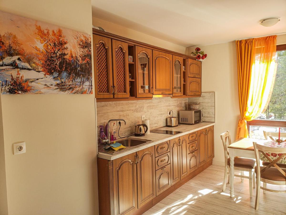 Lovely Borovets Apartment 外观 照片