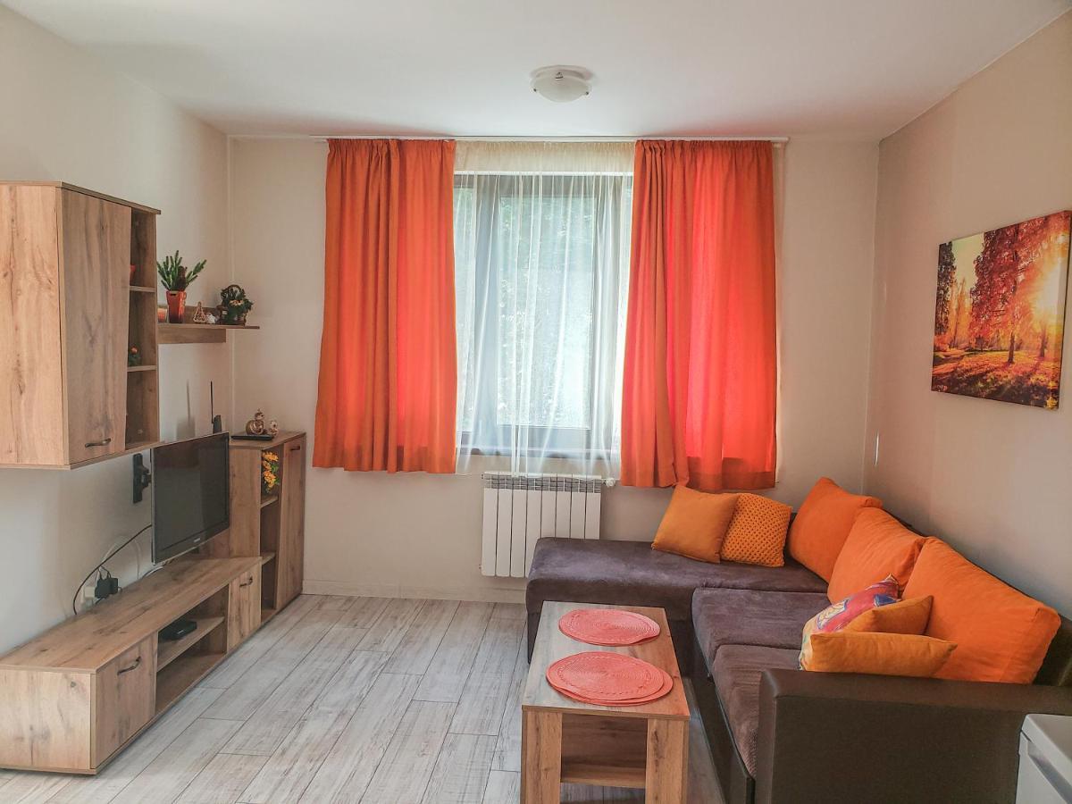 Lovely Borovets Apartment 外观 照片