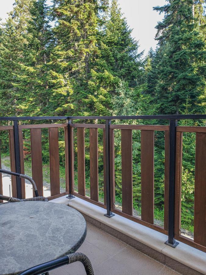 Lovely Borovets Apartment 外观 照片