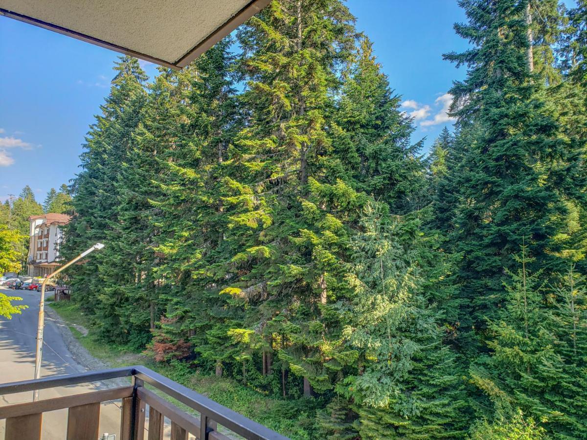Lovely Borovets Apartment 外观 照片