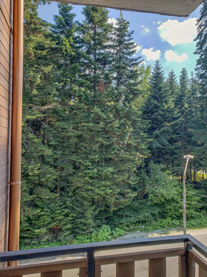 Lovely Borovets Apartment 外观 照片