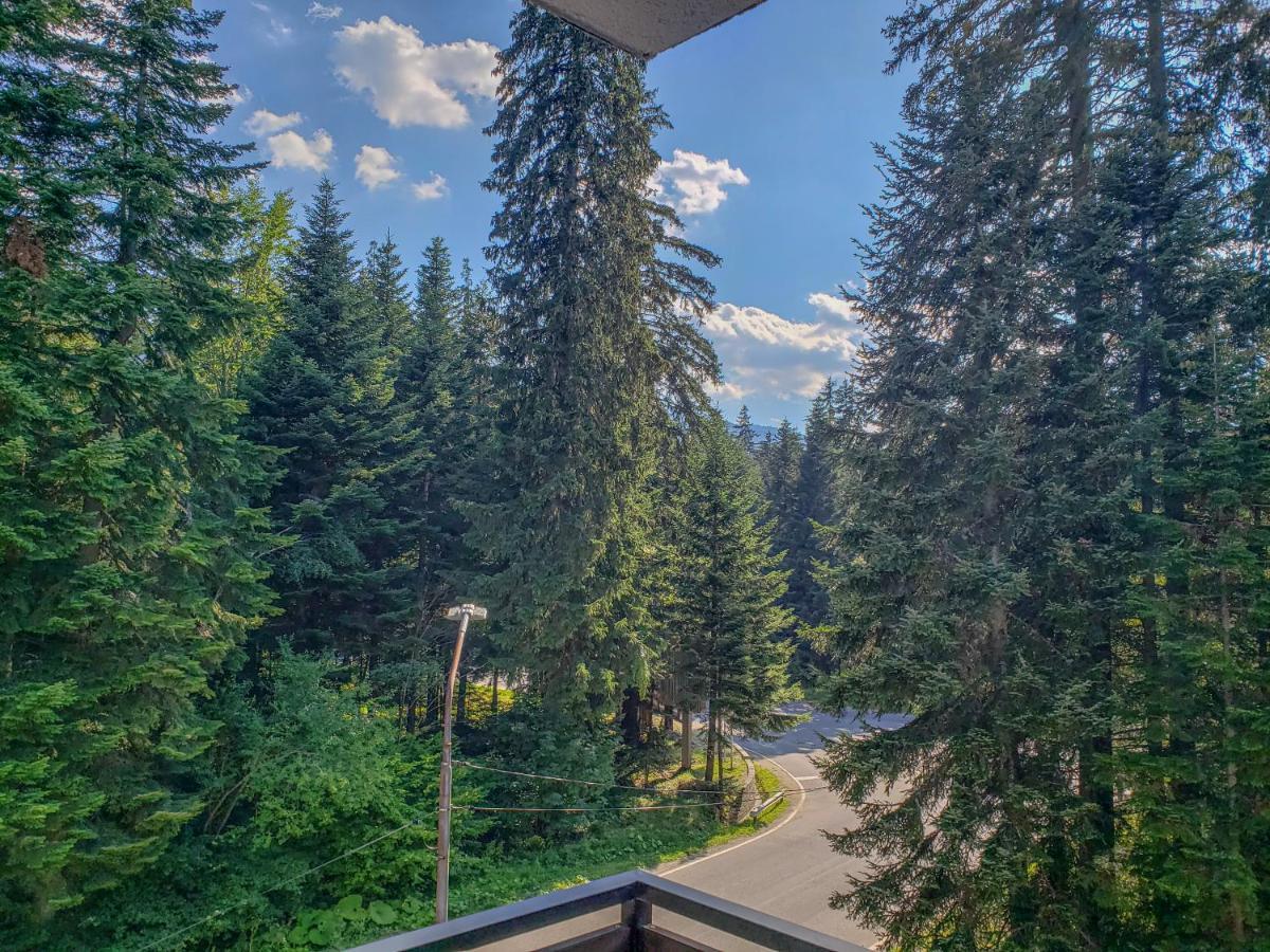 Lovely Borovets Apartment 外观 照片