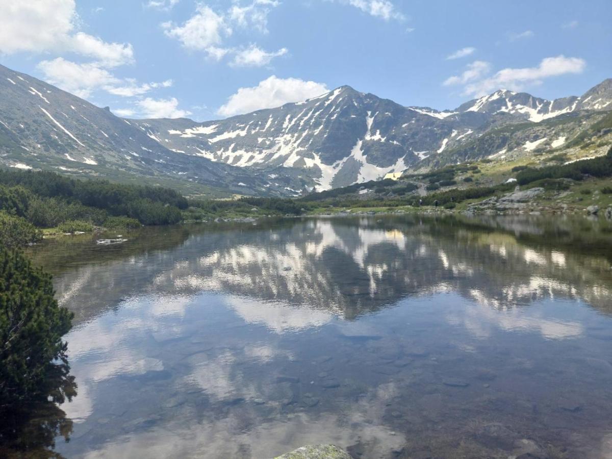Lovely Borovets Apartment 外观 照片